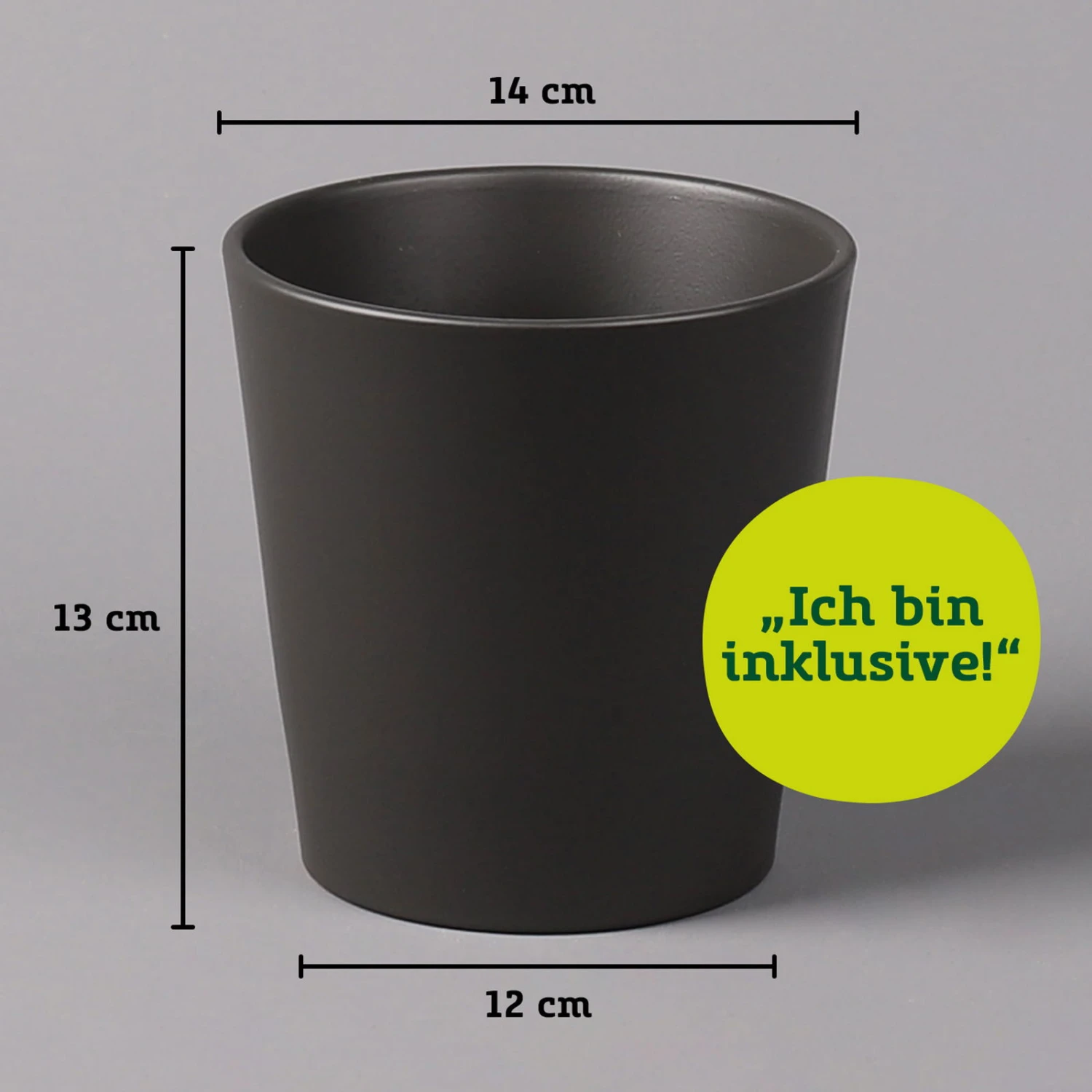 Nestfarn, Mit Keramiktopf Dallas Anthrazit, Topf-Ø12cm, Höhe Ca. 35 Cm 7 Nestfarn, Mit Keramiktopf Dallas Anthrazit, Topf-Ø12cm, Höhe Ca. 35 Cm – Bild 5