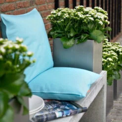 Kalanchoe 'Calandiva'®, Weiß, Topf-Ø 12 Cm, Höhe Ca. 27,5 Cm, 6er-Set -Madison Verkäufe 0210350168 Kalanchoe Cal weiss2