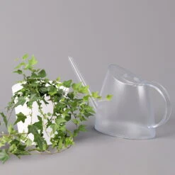 Hedera Helix In Keramiktopf Dallas Weiß, Topf-Ø 12/13 Cm, 3er-Set -Madison Verkäufe 0220650241 Hedera gruen in Topf Dallas weiss 3 1