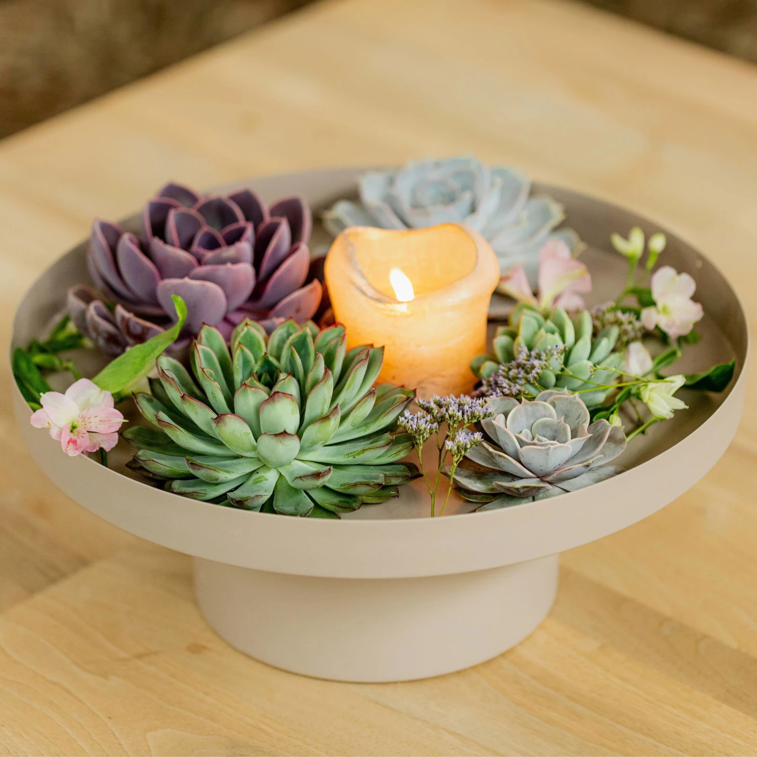 Schnittecheverien-Mix, Ø 16 Cm, 2er-Set 8 Schnittecheverien-Mix, Ø 16 Cm, 2er-Set – Bild 6