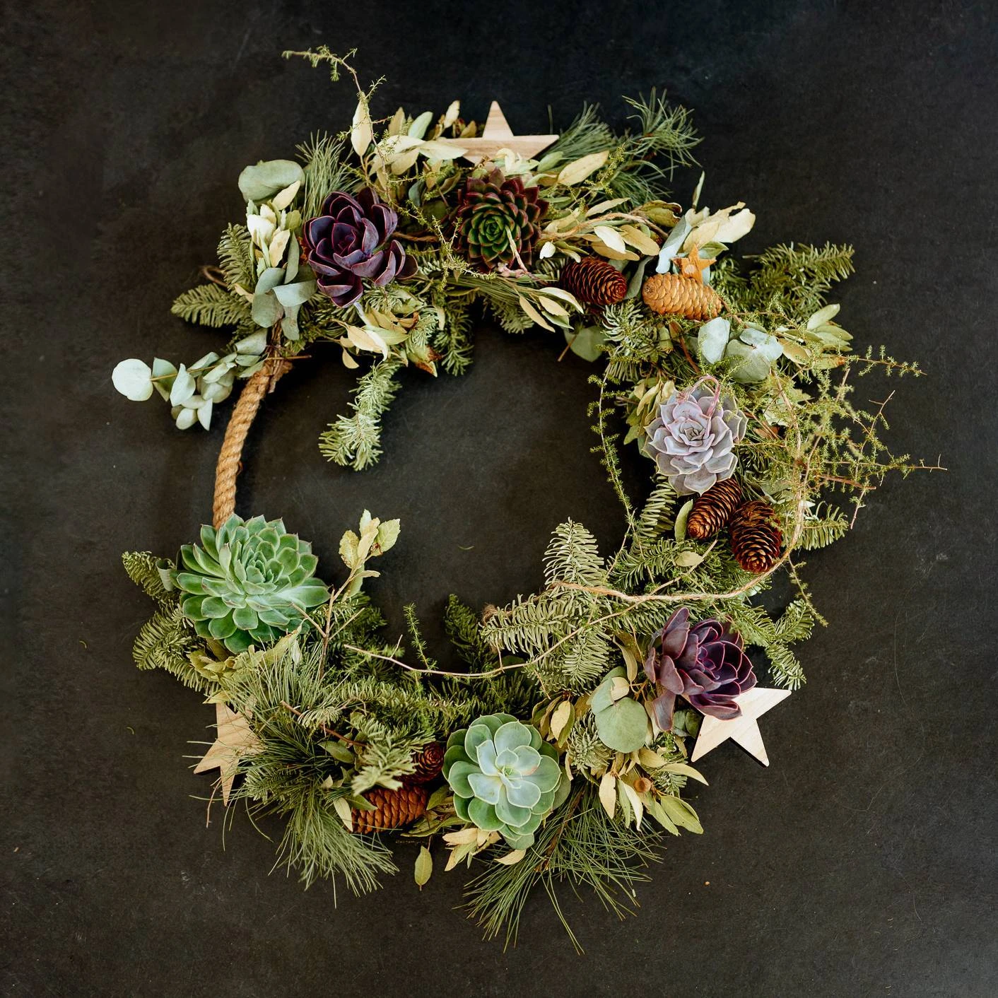 Schnittecheverien-Mix, Ø 16 Cm, 2er-Set 7 Schnittecheverien-Mix, Ø 16 Cm, 2er-Set – Bild 5