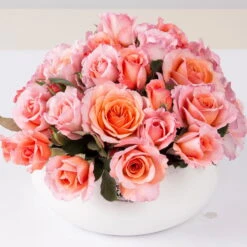 Stammrose 'Käthchen Von Heilbronn'®, Edelrose, Stammhöhe 60cm Im 7,5 Liter Topf -Madison Verkäufe 0460100700 KB Kaethchen von Heilbronn Edelrose Co 6lt1 65417