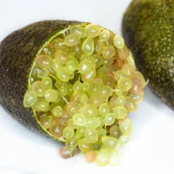 Fingerlimette, Topf-Ø 20 Cm, Höhe Ca.60 Cm -Madison Verkäufe 0630100735 Citrus australasica Stamm T20 H60 70 WS 2 98315 1