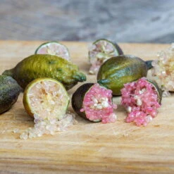 Fingerlimette, Topf-Ø 20 Cm, Höhe Ca.60 Cm -Madison Verkäufe 0630100735 Citrus australasica Stamm T20 H60 70 WS 4 98316 1