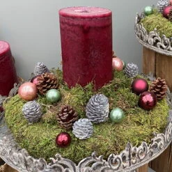 Waldmoos In Der Holzkiste, Ca. 25x13x7 Cm, 4er-Set 14 Waldmoos In Der Holzkiste, Ca. 25x13x7 Cm, 4er-Set -Madison Verkäufe 066110 Moose Anwendungsbeispiele 4 100798