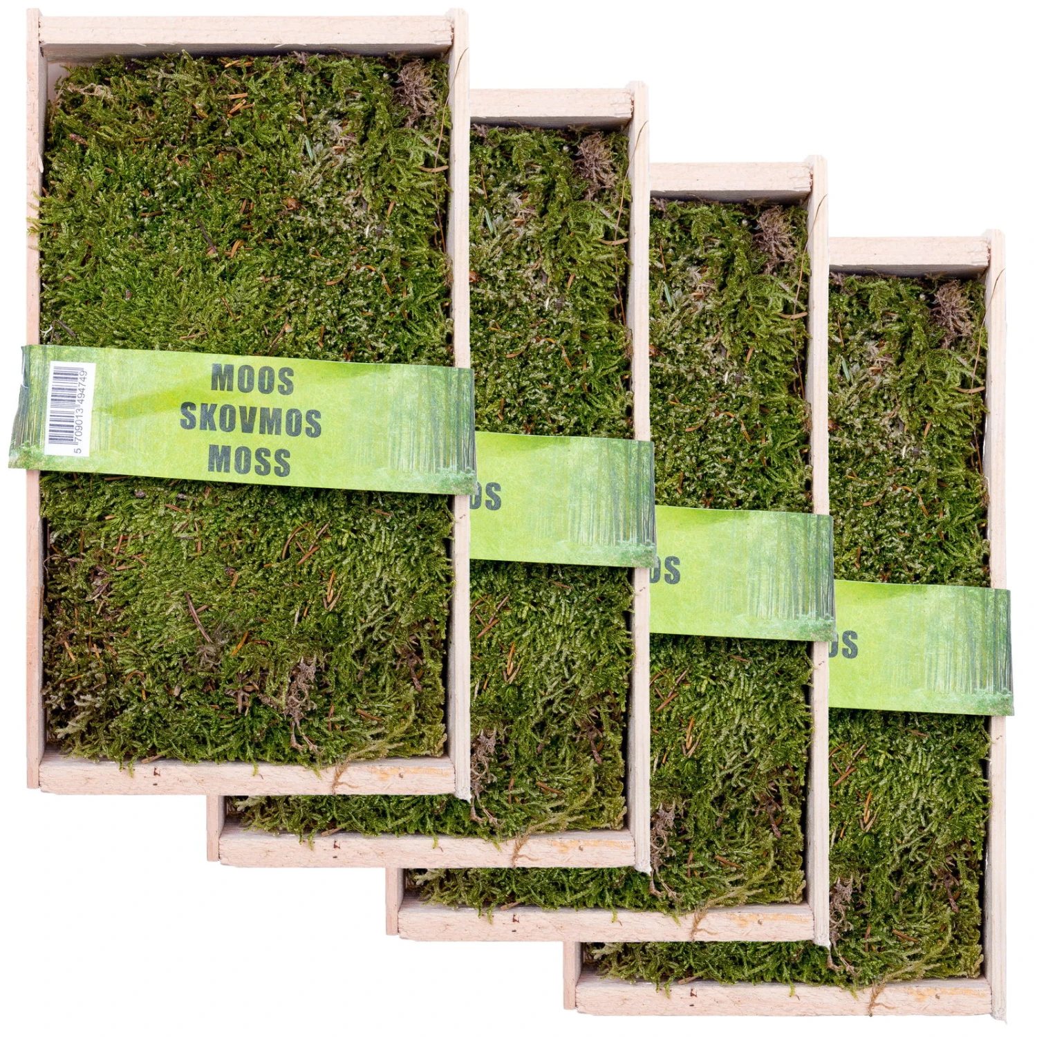Waldmoos In Der Holzkiste, Ca. 25x13x7 Cm, 4er-Set 3 Waldmoos In Der Holzkiste, Ca. 25x13x7 Cm, 4er-Set