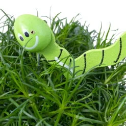 Sternmoos Mit Wurmstecker, Topf-Ø 6 Cm, 12er-Set 25 Sternmoos Mit Wurmstecker, Topf-Ø 6 Cm, 12er-Set -Madison Verkäufe 0664300091 Sagina mit Wurm gruen T6 Mini 12er Set 5 a 116152