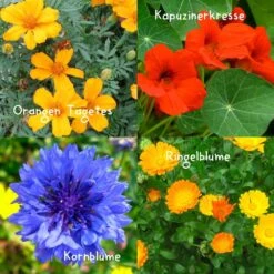 Blumensamen-Set Gourmet Blumen, Essbar, Bienenfreundlich, Dekorativ -Madison Verkäufe 0710403583 Blumensamen Set Gourmet Blumen 4essbare Sorten mit organ Duenger 5 60480