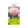 Tulpen 'Foxtrott', Rosa, 40 Blumenzwiebeln 1 Tulpen 'Foxtrott', Rosa, 40 Blumenzwiebeln -Madison Verkäufe 0720100846 KB Gefuellte fruehe Tulpen Foxtrot rosa 107153