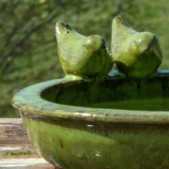 Vogeltränke Rund M, Grün, Keramik 5 Vogeltränke Rund M, Grün, Keramik -Madison Verkäufe 0910170084 Vogeltraenke Keramik rund gruen zoom 117867