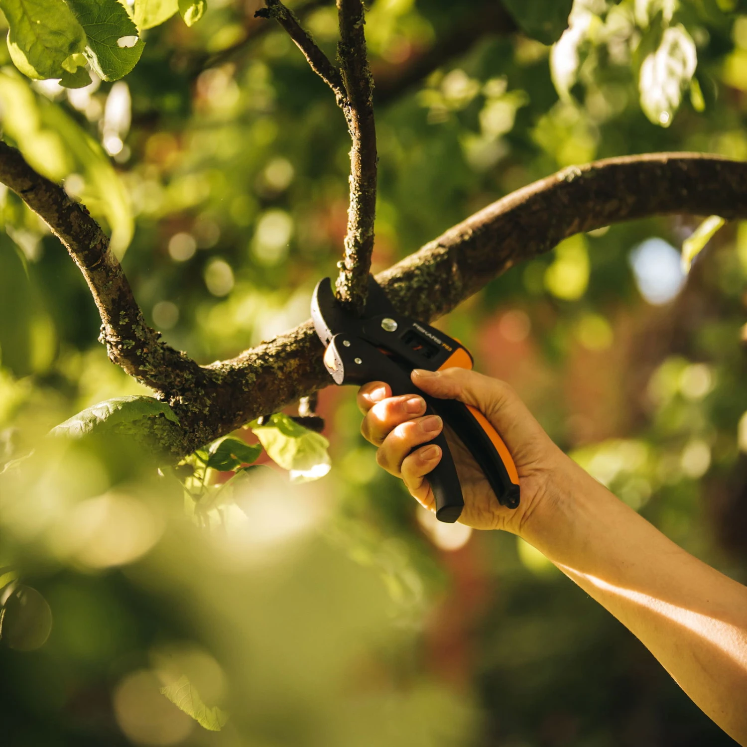 Fiskars Gartenschere 'Amboss' 5 Fiskars Gartenschere 'Amboss' – Bild 3