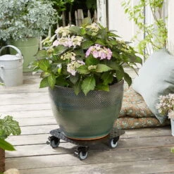 Pflanzenroller 'Alaska', Tragkraft 150 Kg, Anthrazit, Alu, 7 X 29 X 29 Cm -Madison Verkäufe 0920600517 pflanzenroller alaska 3 116725