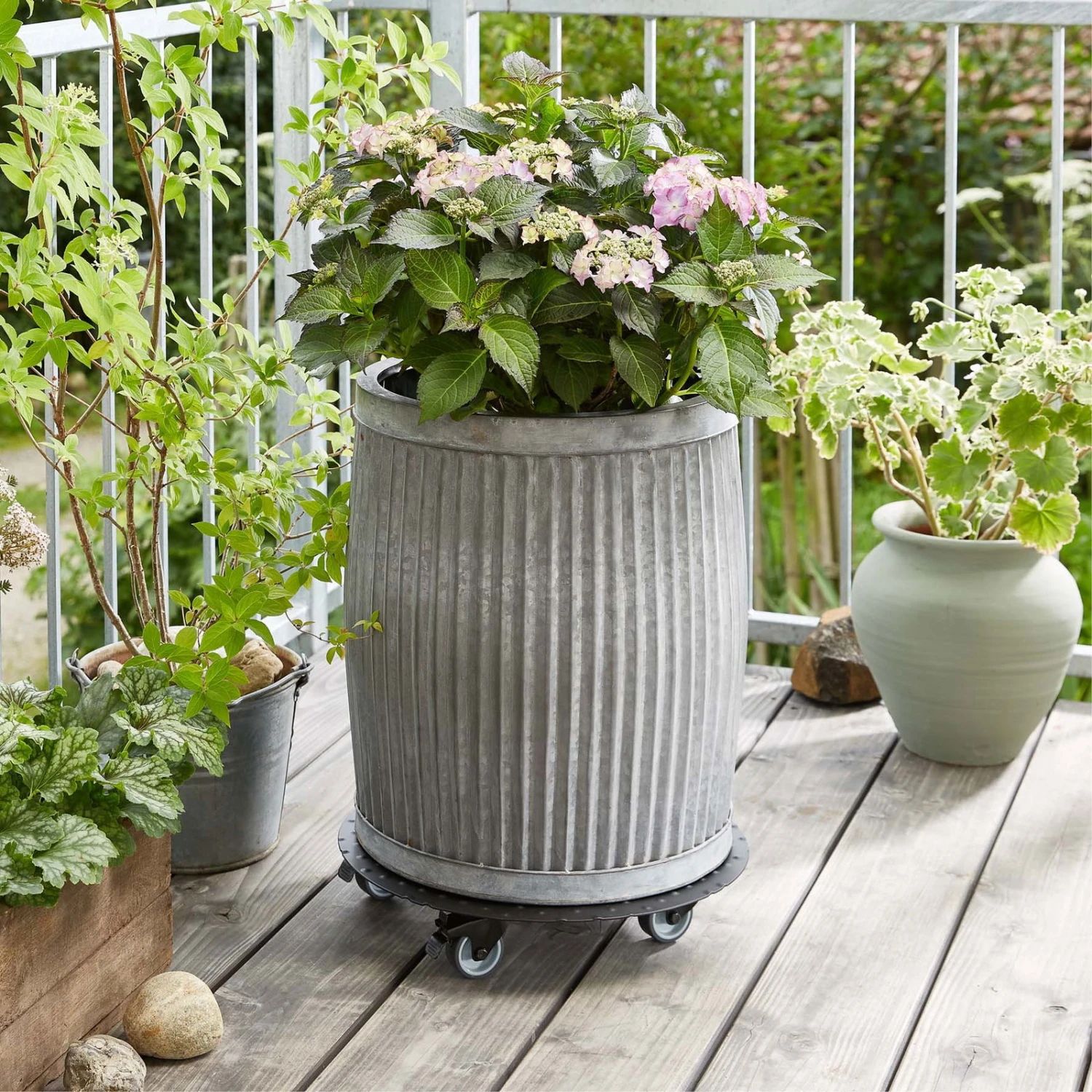 Pflanzenroller 'Alaska', Tragkraft 150 Kg, Anthrazit, Alu, 7 X 38 X 38 Cm 4 Pflanzenroller 'Alaska', Tragkraft 150 Kg, Anthrazit, Alu, 7 X 38 X 38 Cm – Bild 2