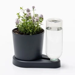 Kräuterheld, Anthrazit, PP/PET, 14 X 14 X 22 Cm -Madison Verkäufe 0930101631 Kraeuterheld anthrazit1 116321