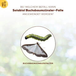 Solabiol Buchsbaumzünsler-Falle, Ausreichend Für Bis Zu 180 M² -Madison Verkäufe 0950200723 Buchsbaumzuensler Falle fuer bis zu 180qm Flaeche 1 107232