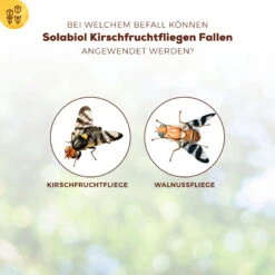 Solabiol Kirschfruchtfliegenfalle, 5er-Pack -Madison Verkäufe 0950200760 Solabiol Kirschfruchtfliegenfalle 5Stueck 1 107242