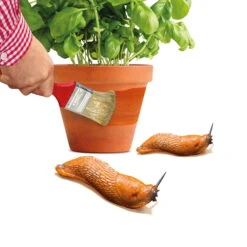 Schnexagon, Anstrich Gegen Schnecken, 375 Ml -Madison Verkäufe 0950300991 Schnexagon 375ml 1 94152