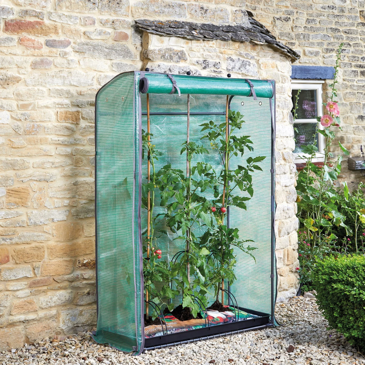 Tomatengewächshaus 'Tomato GroZone', Ca. 150 X 100 X 40 Cm 5 Tomatengewächshaus 'Tomato GroZone', Ca. 150 X 100 X 40 Cm – Bild 3