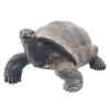 Gartendeko 'Schildkröte', Grau, H34 X L50 X B60 Cm 1 Gartendeko 'Schildkröte', Grau, H34 X L50 X B60 Cm -Madison Verkäufe 0980306438 Schildkroete grau gross 123573