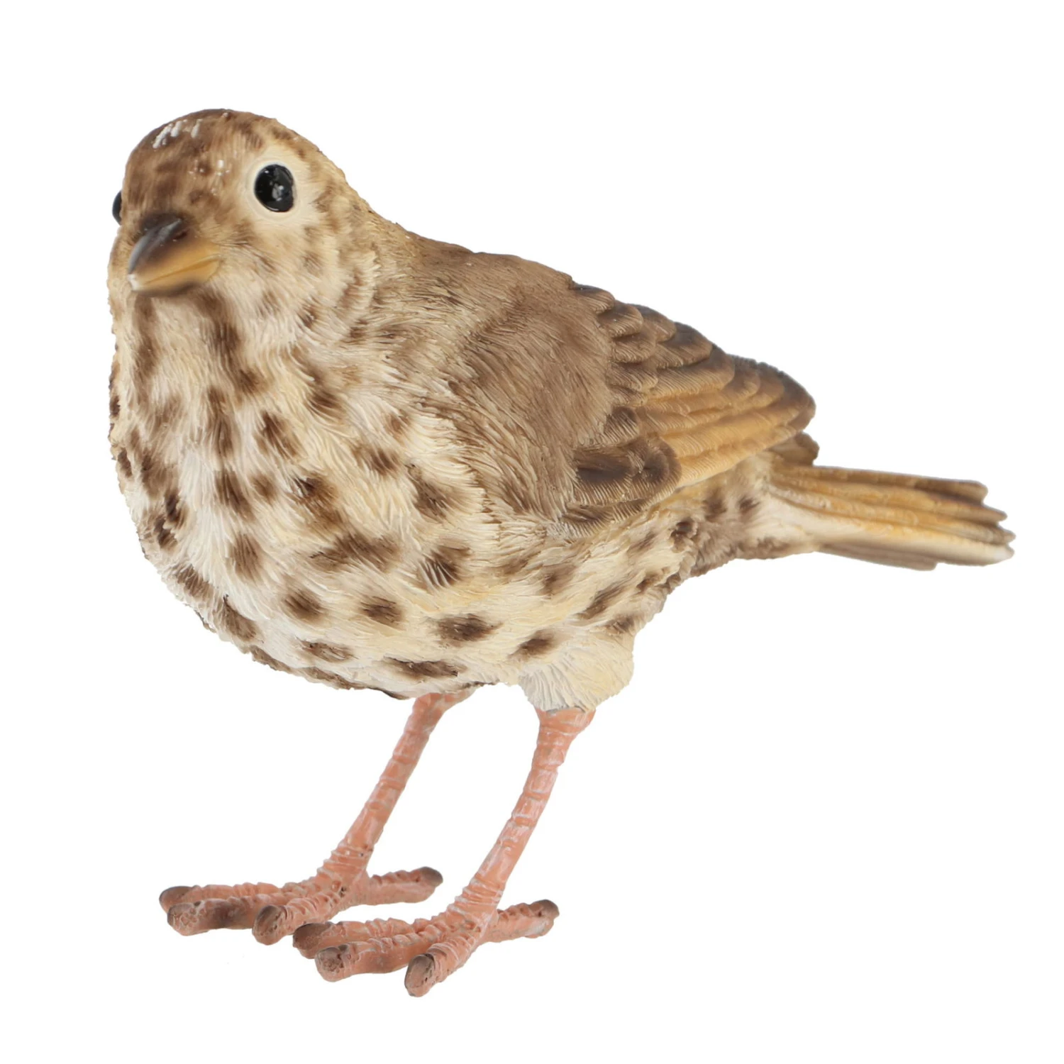 Eisen-Singdrossel, Ca. 17 X 6 X 11 Cm 3 Eisen-Singdrossel, Ca. 17 X 6 X 11 Cm