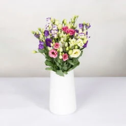Gemischter Blumenbund 'Lisianthus' Inkl. Gratis Grußkarte -Madison Verkäufe 1015700001 Lisianthus Mix 10er Bund weiss blau rosa WS 2 94400