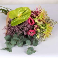 Gemischter Blumenbund 'Baltazar Mit Anthurie' Inkl. Gratis Grußkarte -Madison Verkäufe 1025700011 DIY Mixbund Baltazar mit Anthurie Chrysa Lisi Gypso Statice Euka Anthurie 2 94430