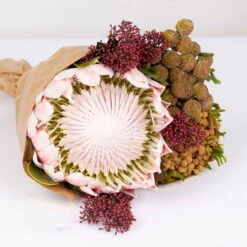 Blumenbund Protea King Mit Skimmie Und Kapgrün, Inkl. Gratis Grußkarte -Madison Verkäufe 1025700017 Strauss Protea King mit Skimmia 2 1 101678