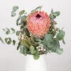Blumenbund Protea Barbigera Mit Eukalyptus Und Brunia, Inkl. Gratis Grußkarte 1 Blumenbund Protea Barbigera Mit Eukalyptus Und Brunia, Inkl. Gratis Grußkarte -Madison Verkäufe 1025700025 Strauss Protea Barbi Brun 1 101700