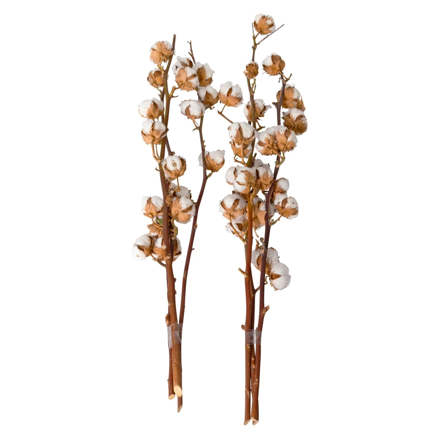 Baumwolle, 3er-Bund, 2er-Set 4 Baumwolle, 3er-Bund, 2er-Set – Bild 2