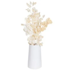 Silbertaler, Getrocknet, Lunaria, Ca. 80 Cm Lang 9 Silbertaler, Getrocknet, Lunaria, Ca. 80 Cm Lang -Madison Verkäufe 1055300008 Lunaria weiss mit Tuete 1 83201