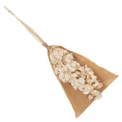 Silbertaler, Getrocknet, Lunaria, Ca. 80 Cm Lang 8 Silbertaler, Getrocknet, Lunaria, Ca. 80 Cm Lang -Madison Verkäufe 1055300008 Lunaria weiss mit Tuete 83200