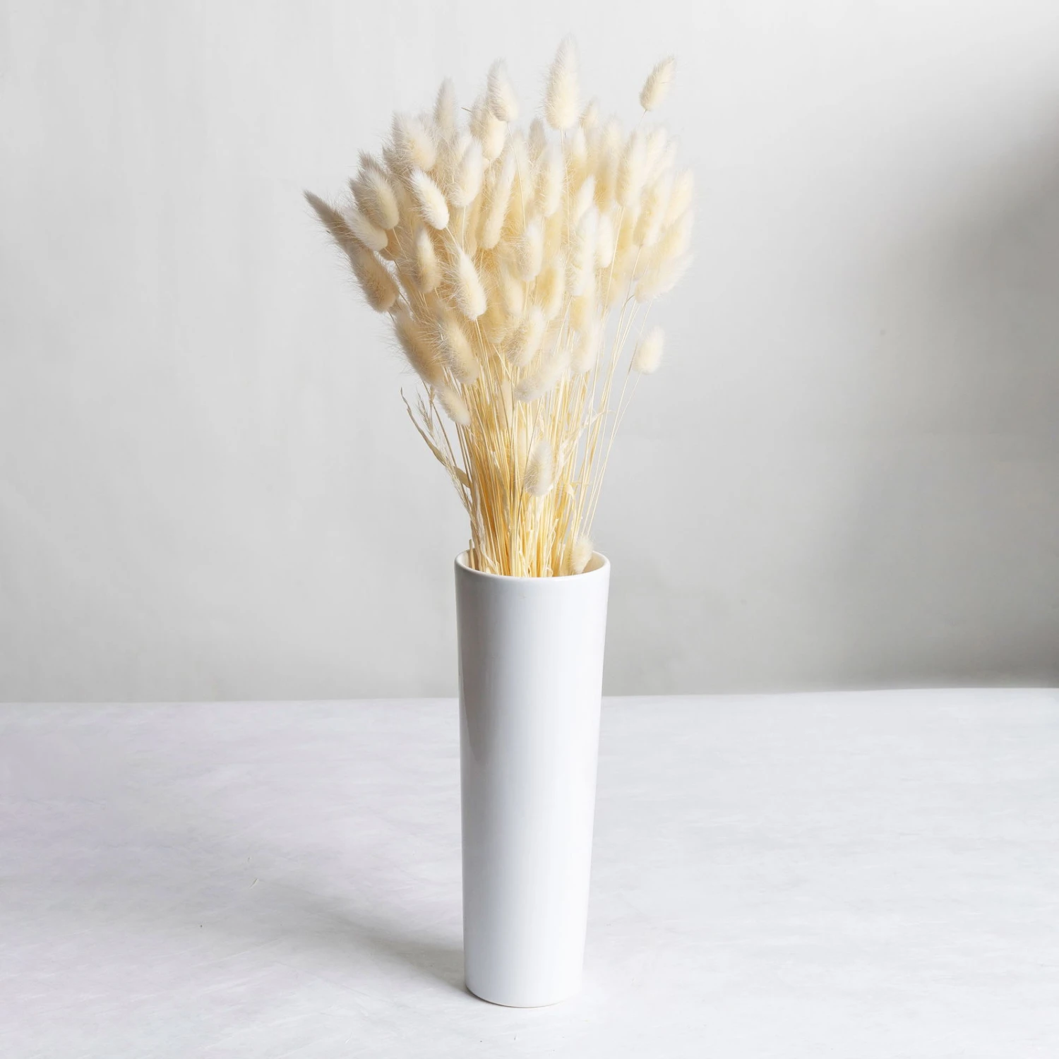 Samtgras Im Bund, Gebleicht Und Getrocknet, Ca. 65 Cm 5 Samtgras Im Bund, Gebleicht Und Getrocknet, Ca. 65 Cm – Bild 3