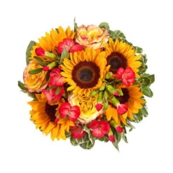 Blumenstrauß 'Viel Glück' Inkl. Gratis Grußkarte -Madison Verkäufe 1110600042 Sommer Orange D28cm 2 6662