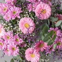 Blumenstrauß 'Toronto' Inkl. Gratis Grußkarte -Madison Verkäufe 1110600098 strauss toronto setting 2 121247