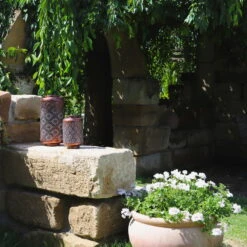 Kölle LED-Solarlaterne Adana, Gold Matt, Höhe 26 Cm, Ø 16 Cm -Madison Verkäufe 2950100472 2950100469 Adana 1 113714