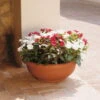 Euro 3 Plast Pflanzschale Olimpo Terra -Madison Verkäufe 3210100221 Pflanzschale Olimpo terra 40cm Erdvol 11Ltr 34295