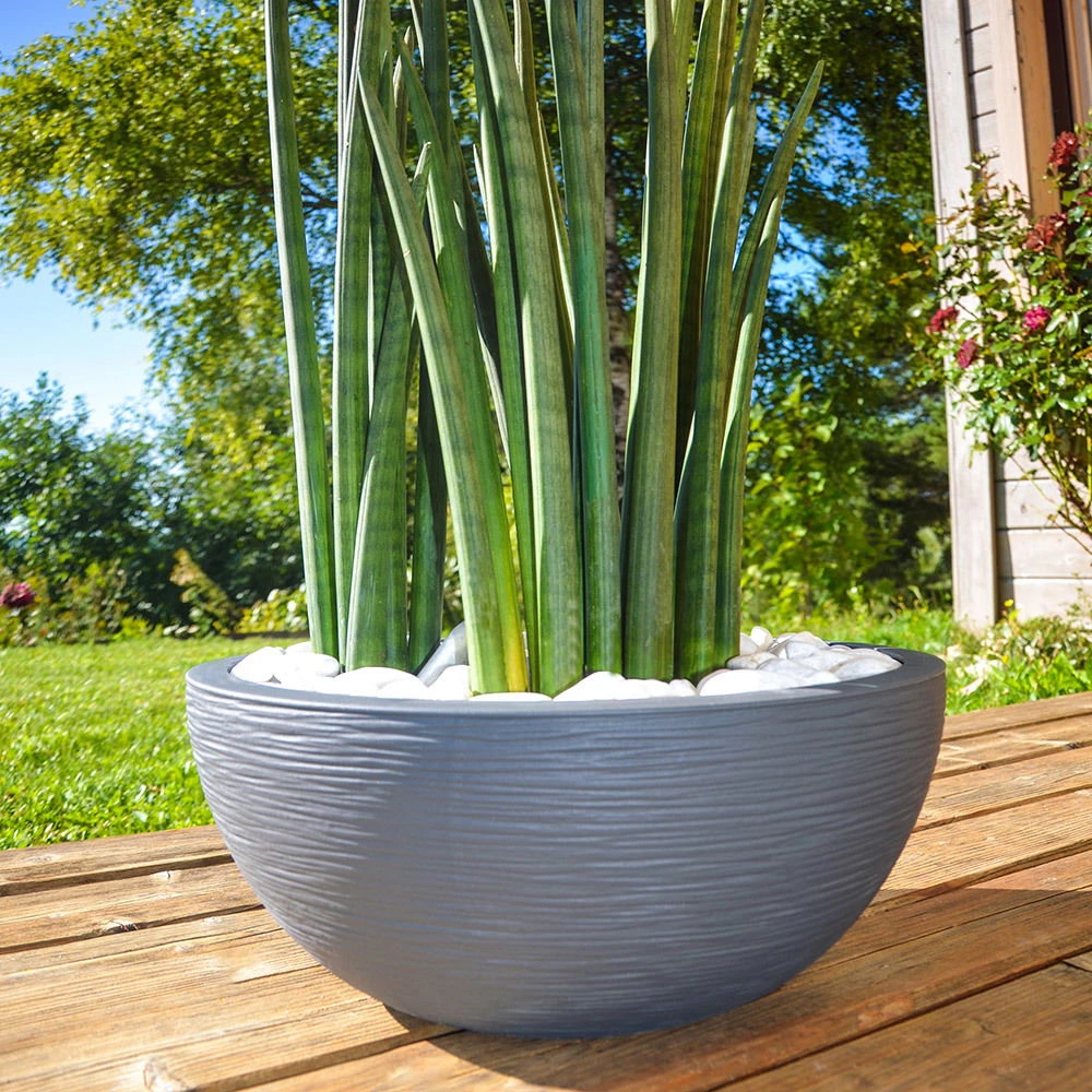 Pflanzschale Graphit Ella Anthrazit – Bild 4