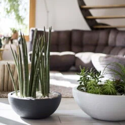 Pflanzschale Graphit Ella Anthrazit -Madison Verkäufe 3210103482 Pflanzschale Graphit Ella anthrazit 40x16 5cm 14 9l 04 48314