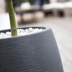 Pflanzgefäß Graphit Egg, Anthrazit, Wasserdicht, Robust 12 Pflanzgefäß Graphit Egg, Anthrazit, Wasserdicht, Robust -Madison Verkäufe 3210103698 Pflanzgefaess Graphit Egg anthrazit D50xH60cm 53Ltr 2 62075