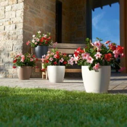 LECHUZA Pflanzgefäß 'Classico Color 70', Weiß, Ø 70 X H 64,5 Cm -Madison Verkäufe 3210103918 Pflanzgefaess Classico Color 60 All in 1 weiss 3 109195