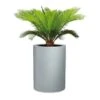 Pflanzgefäß 'Riva High', Rund, Steingrau, Kunststoff -Madison Verkäufe 3210103970 3210103971 Pflanzgefaess Riva High1 97808