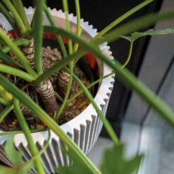 Pflanzgefäß 'Groove', Elfenbein, Ø 35 X H 34 Cm -Madison Verkäufe 3210104106 3210104107 3210104108 pflanzgefaess pflanzvase groove 116896