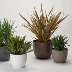 Pflanzkübel 'Rio', Rost, Ø 29 X H 24 Cm -Madison Verkäufe 3210104130 3210104131 3210104132 3210104133 pflanzkuebel rio 122622 3