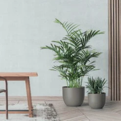 Pflanzkübel 'Rio', Taupe, Ø 34 X H 28 Cm 9 Pflanzkübel 'Rio', Taupe, Ø 34 X H 28 Cm -Madison Verkäufe 3210104133 pflanzkuebel rio 2 122629