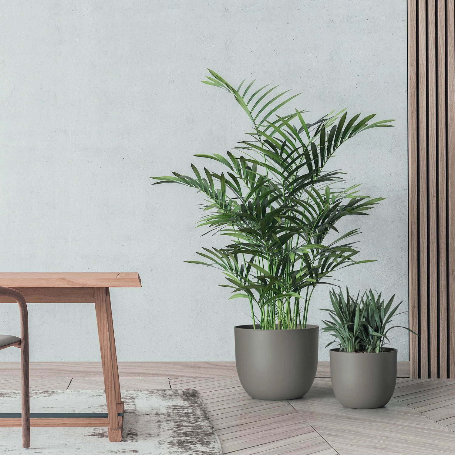 Pflanzkübel 'Rio', Taupe, Ø 34 X H 28 Cm 5 Pflanzkübel 'Rio', Taupe, Ø 34 X H 28 Cm – Bild 3