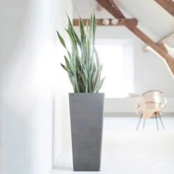 Pflanzgefäß 'Rotterdam MidHigh', Grau -Madison Verkäufe 3210104153 pflanzgefaess rotterdam high 1 117471