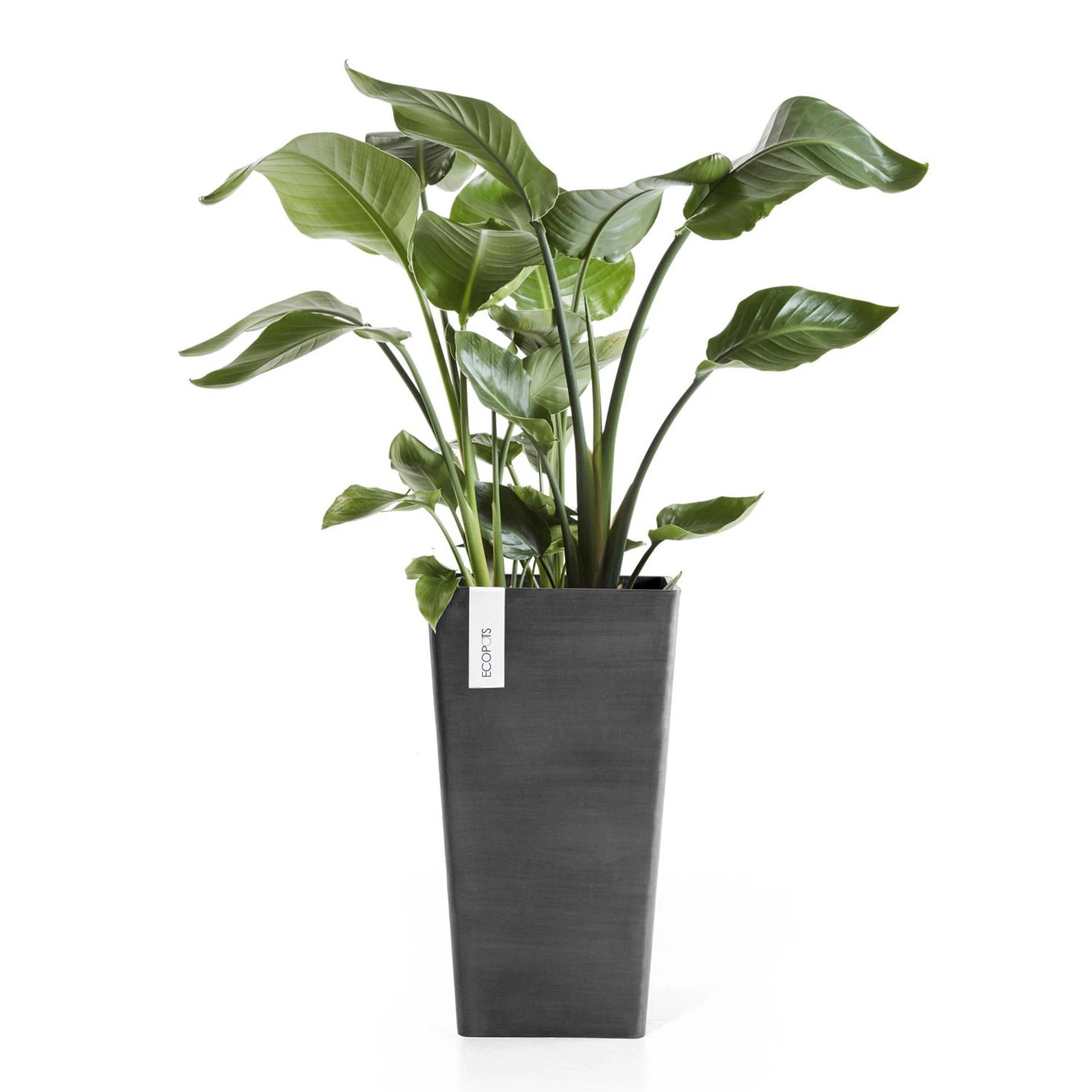 Pflanzgefäß 'Rotterdam MidHigh', Dunkelgrau, Ø 31 X H 56 Cm 4 Pflanzgefäß 'Rotterdam MidHigh', Dunkelgrau, Ø 31 X H 56 Cm – Bild 2