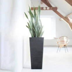 Pflanzgefäß 'Rotterdam MidHigh', Dunkelgrau -Madison Verkäufe 3210104155 pflanzgefaess rotterdam high 3 117475