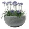 Pflanzschale Rock Line Banham, Granitgrau, Glasfaserverstärkter Kunststoff -Madison Verkäufe 3210801301 3210801302 3210801303 Pflanzschale Rock Line Banham granit grau 2 55636