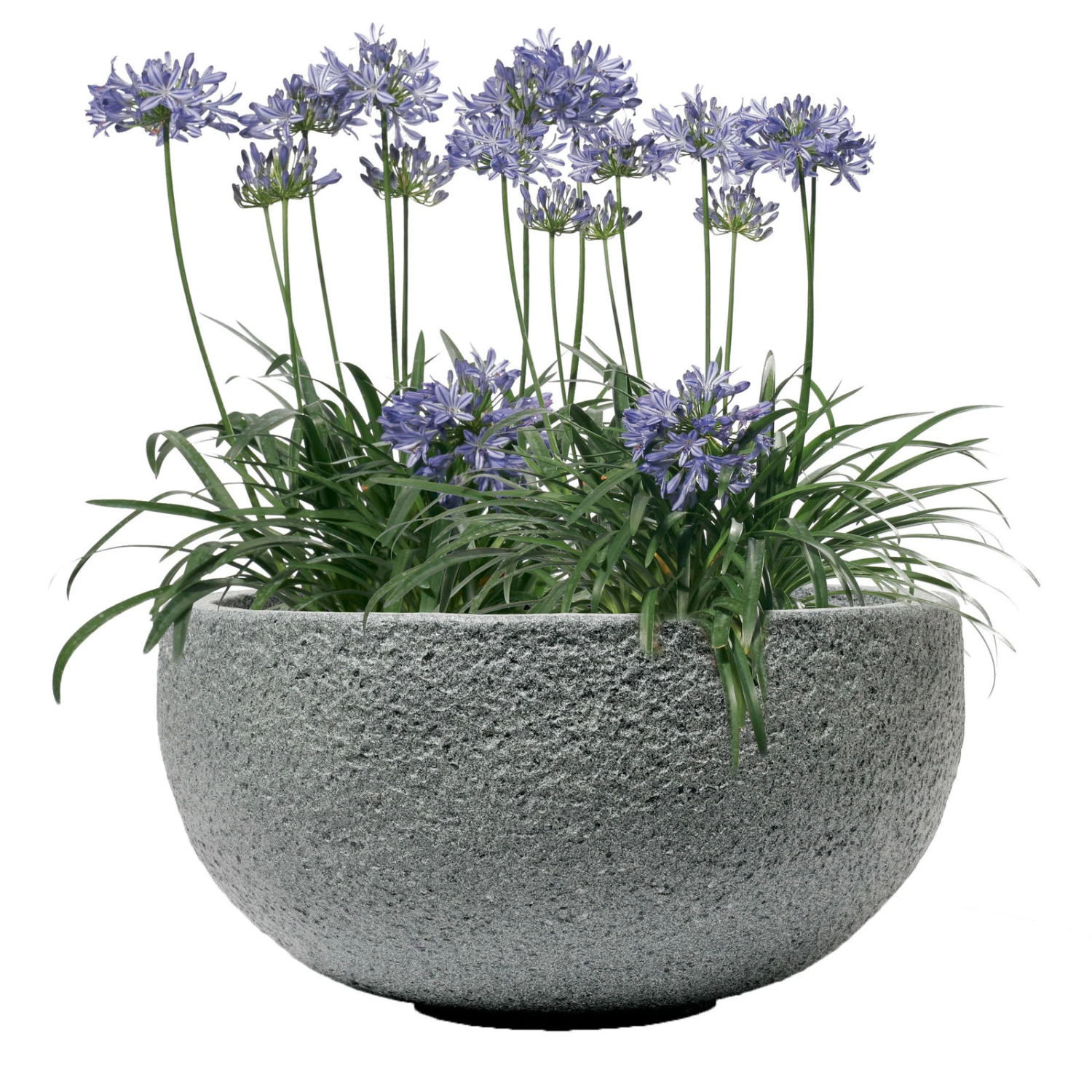 Pflanzschale Rock Line Banham, Granitgrau, Ø 35 X H 17 Cm 3 Pflanzschale Rock Line Banham, Granitgrau, Ø 35 X H 17 Cm